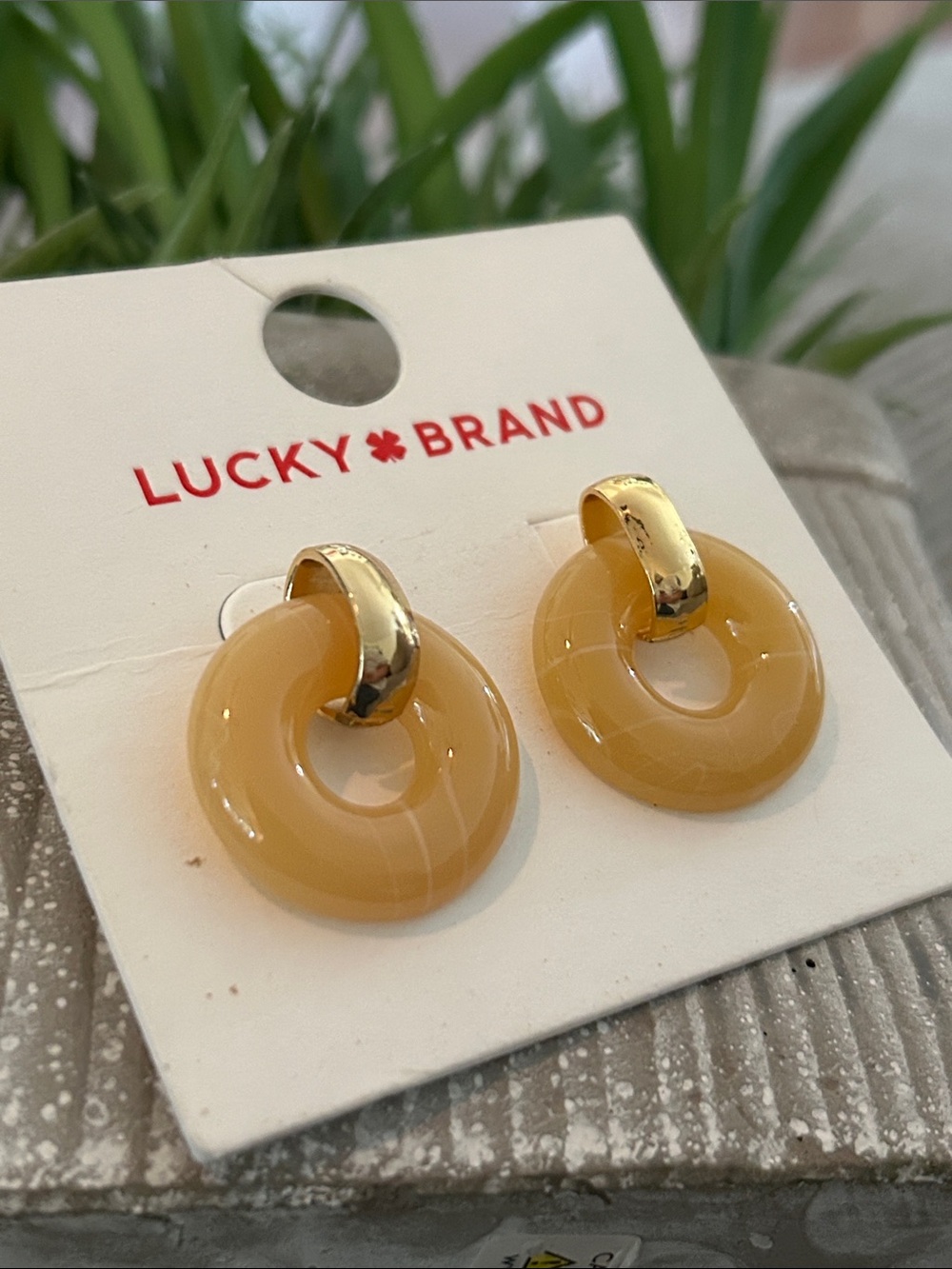 Lucky Brand Gold-Tone Honey lucite round Hoop Earrings NEW for pierced ears